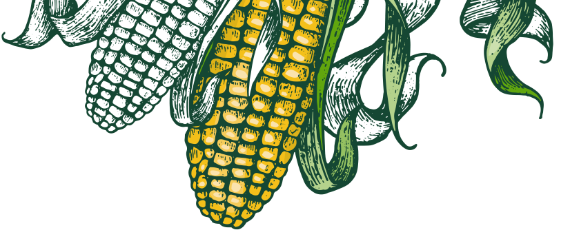 corn