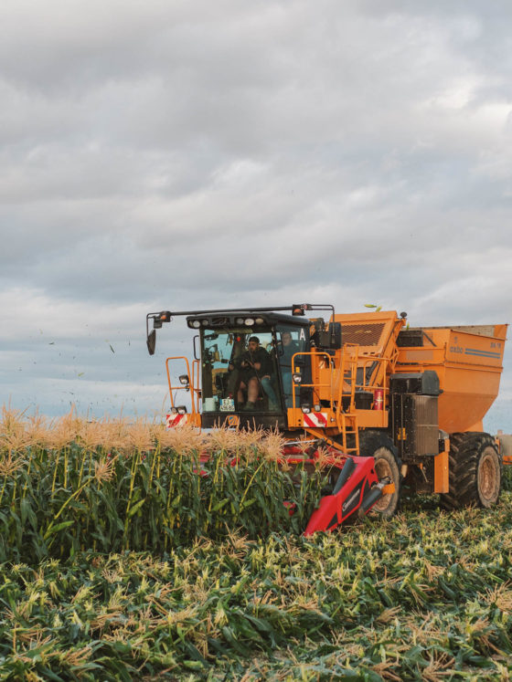 we are huercasa fields